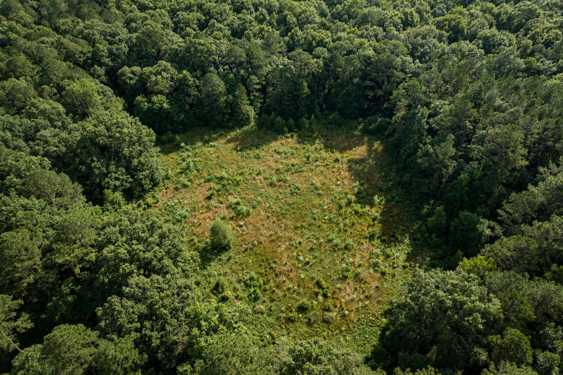 Aerial view of wooded acreage with a natural clearing